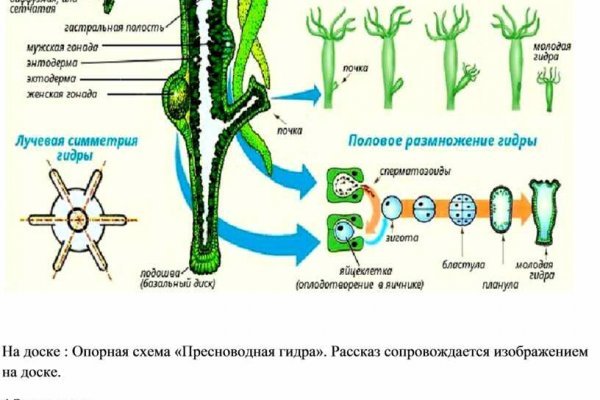 Кракен нарка шоп