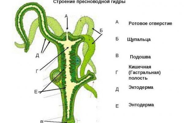 Кракен ссылка vk2 top