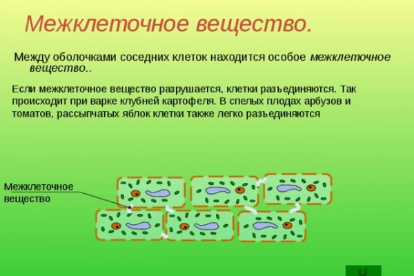 Актуальная ссылка на кракен